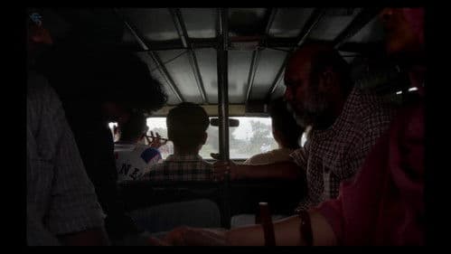 സാധാരണ പനികൾ Bild 1