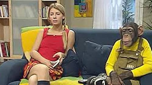 Çarli İş Başında Bild 2