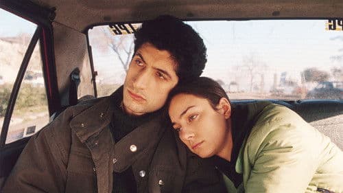 Elefanten und Gras Bild 5