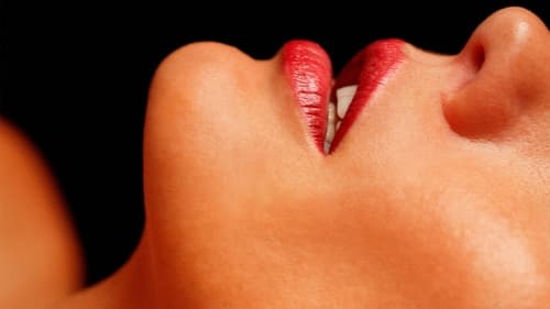 La Maison - Haus der Lust Bild 1