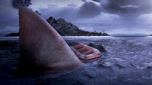 Hai-Alarm auf Mallorca Bild 3