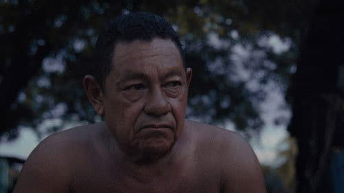 Audio y el Caimán Bild 2