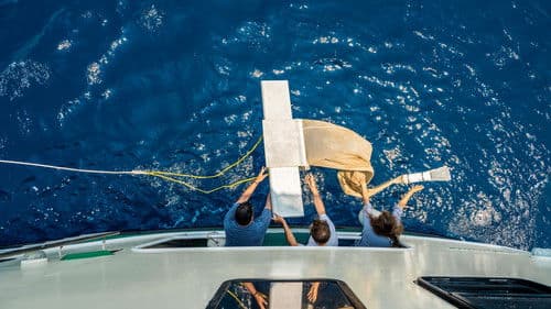 Plasticósfera Bild 1