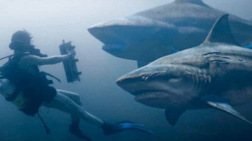 Deep Blue Sea 3 Bild 6