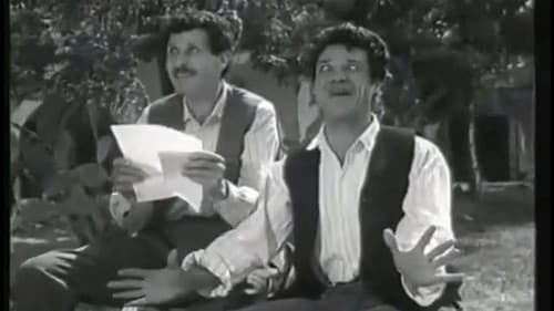 Sedotti e bidonati Bild 2