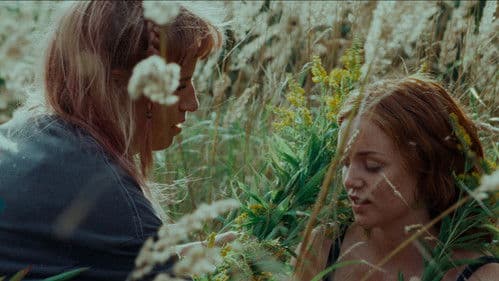 Der Venuseffekt Bild 2