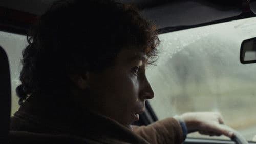 La macchina di Renato Bild 3