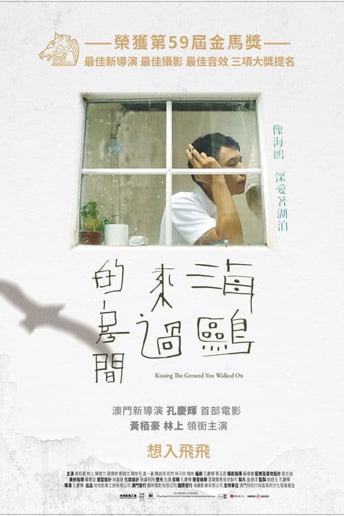 海鷗來過的房間