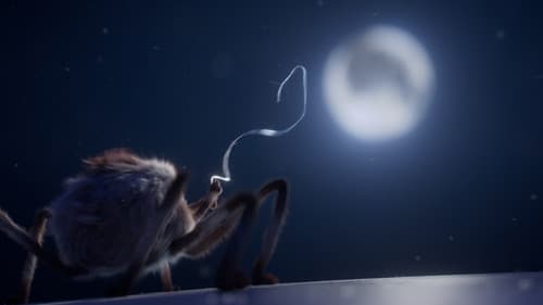 Swing to the Moon Bild 5