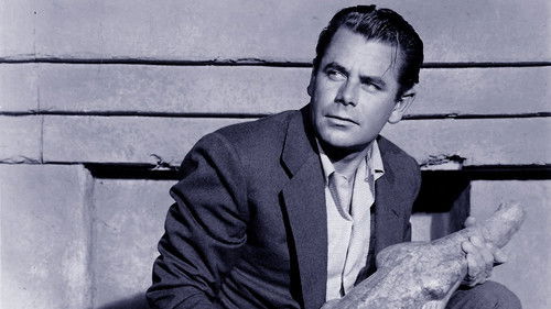 Das geheimnisvolle Testament Bild 1