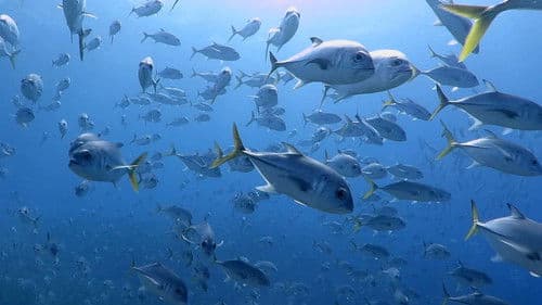 Castro's Secret Reef Bild 2