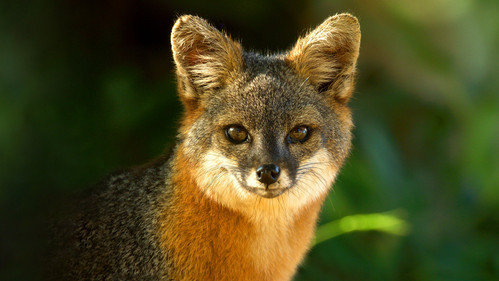 Amerikas Nationalparks Bild 1