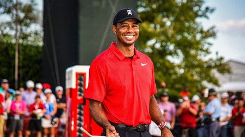 25 Years of Tiger Bild 1