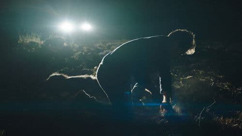 Μικρά Όμορφα Άλογα Bild 2