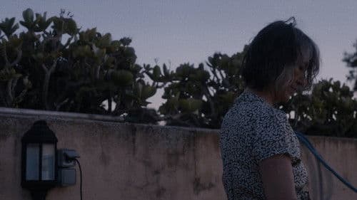 Tal día hizo un año Bild 1