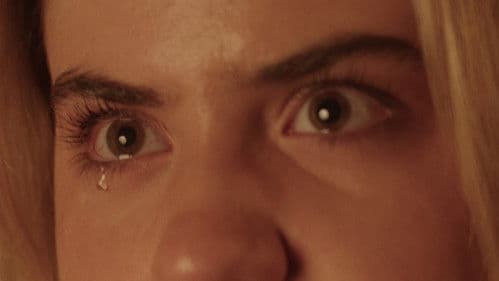 The Pilgrim's Ballad Bild 1