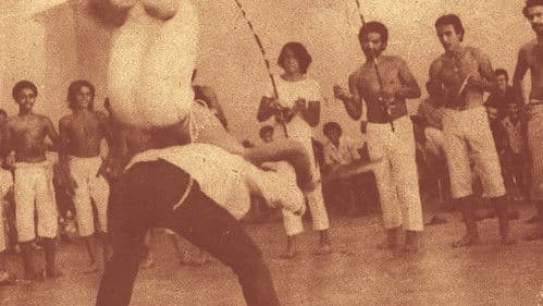 Menino quem foi seu mestre? Bild 1