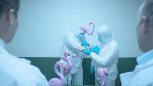 SCP: The Corpse Bild 5