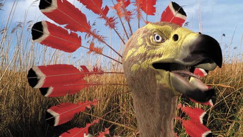 The Future Is Wild Bild 7