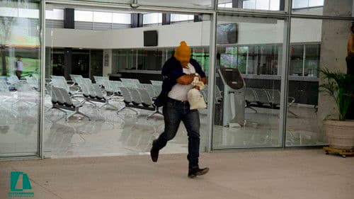 La Transferencia Bild 2