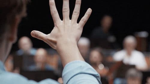 Nous, l'Orchestre Bild 3