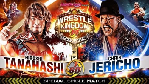 NJPW Wrestle Kingdom 14: Night 2 Bild 6