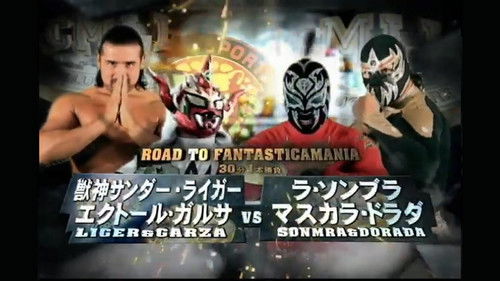 NJPW Wrestle Kingdom V Bild 2