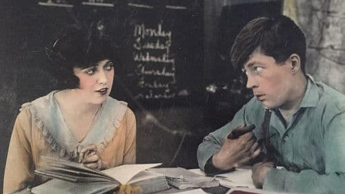 Back to the Woods Bild 1