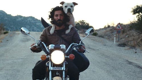 Karanlık Gece Bild 3