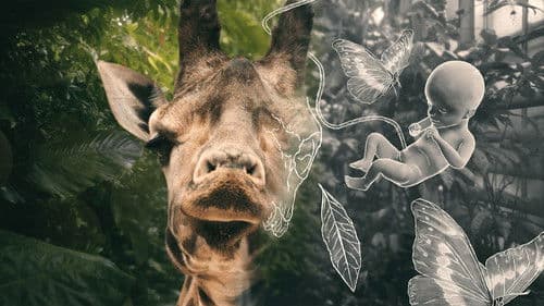 Livet og andre problemer Bild 1