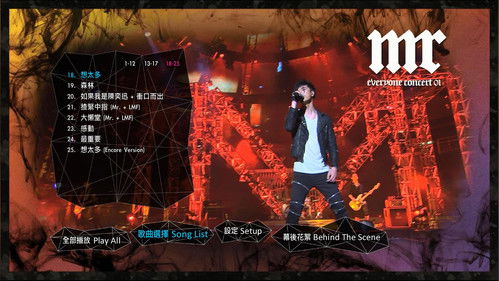 Everyone Concert 2010 Bild 4