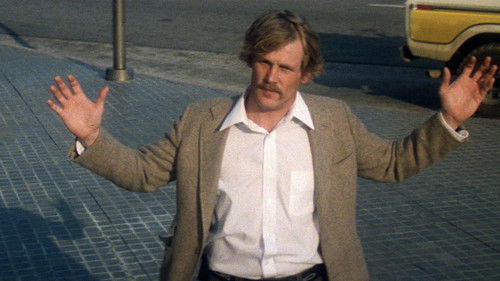 Die Bullen von Dallas Bild 6