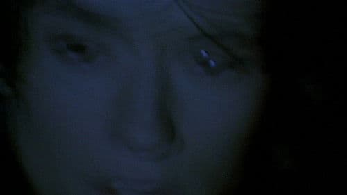 Dunkle Triebe Bild 8