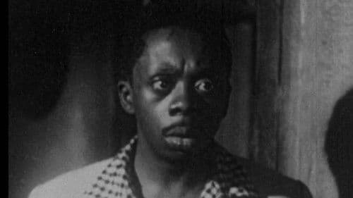 Também Somos Irmãos Bild 2