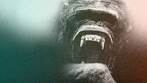 NGOGO - Königreich der Affen Bild 4