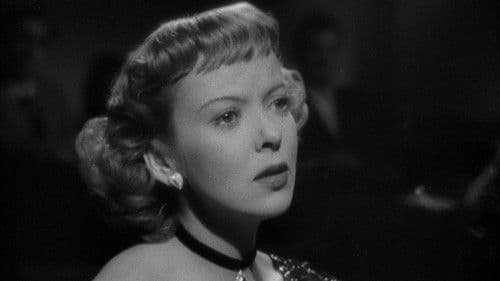 Nachtclub-Lilly Bild 4