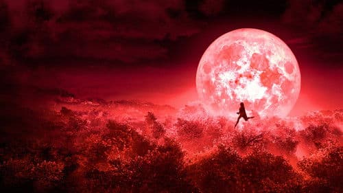 बुलबुल Bild 1