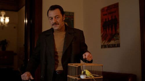 Parçalı Yıllar Bild 2