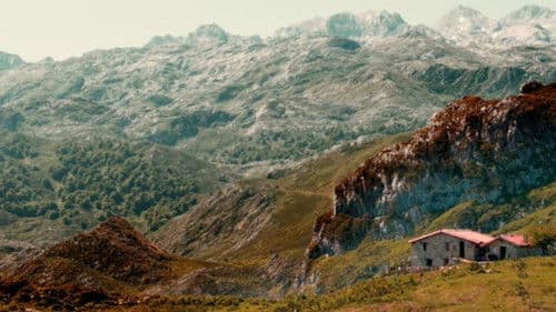 Salvajes, El Cuento Del Lobo Bild 1