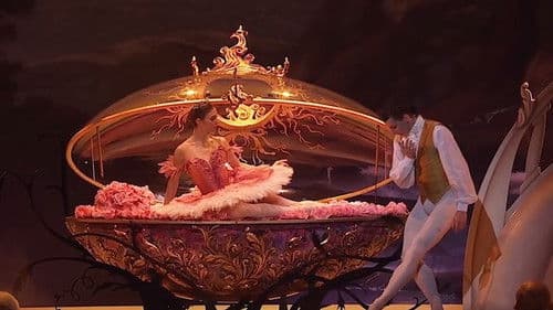 The Sleeping Beauty Bild 1