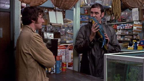 Monty Pythons wunderbare Welt der Schwerkraft Bild 6