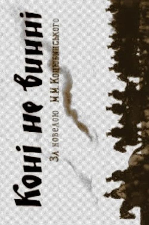 Коні не винні