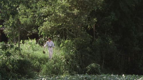 Sandakan Haus Nr. 8 Bild 7