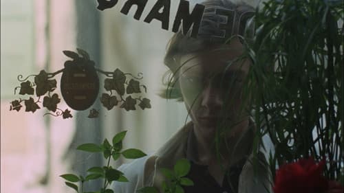 Le Clair de terre Bild 6