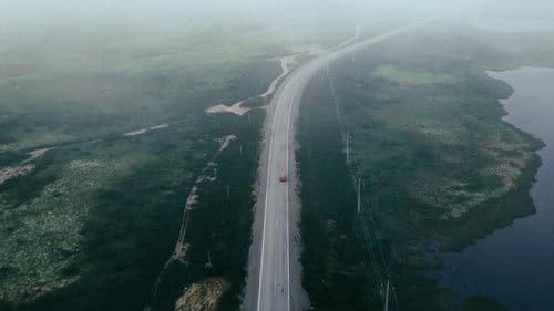 Blueberries for Iris Bild 1