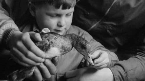 A Journal of the Outdoors No. 11 Bild 1