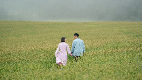 When Life Gives You Tangerines Bild 8