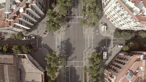 Un día vi 10 000 elefantes Bild 6