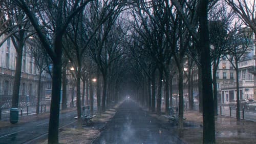 Venus im Pelz Bild 8