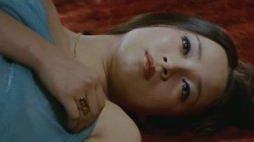 夜の演歌　しのび恋 Bild 6